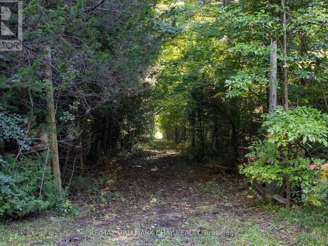 20 LINE 8 LINE Oro-Medonte Ontario, L0L 2E0 - Vacant Land For Sale