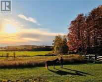 1424 KLONDIKE PARK ROAD | Stayner Ontario | Slide Image Forty-three