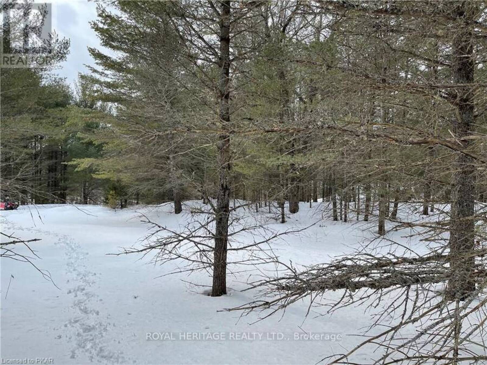 LOT 3 - N/A HADLINGTON ROAD, Highlands East, Ontario K0L 2Y0