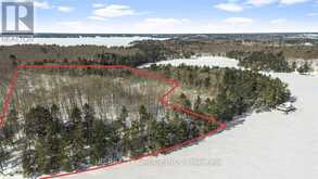 R60- PT5 TOBINS ISLAND | Muskoka Lakes Ontario | Slide Image Sixteen