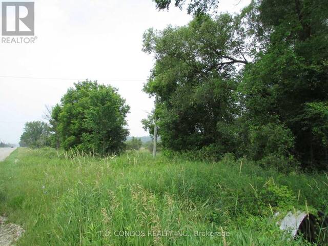 19633 48 HIGHWAY East Gwillimbury Ontario, L0G 1M0 - Vacant Land For Sale