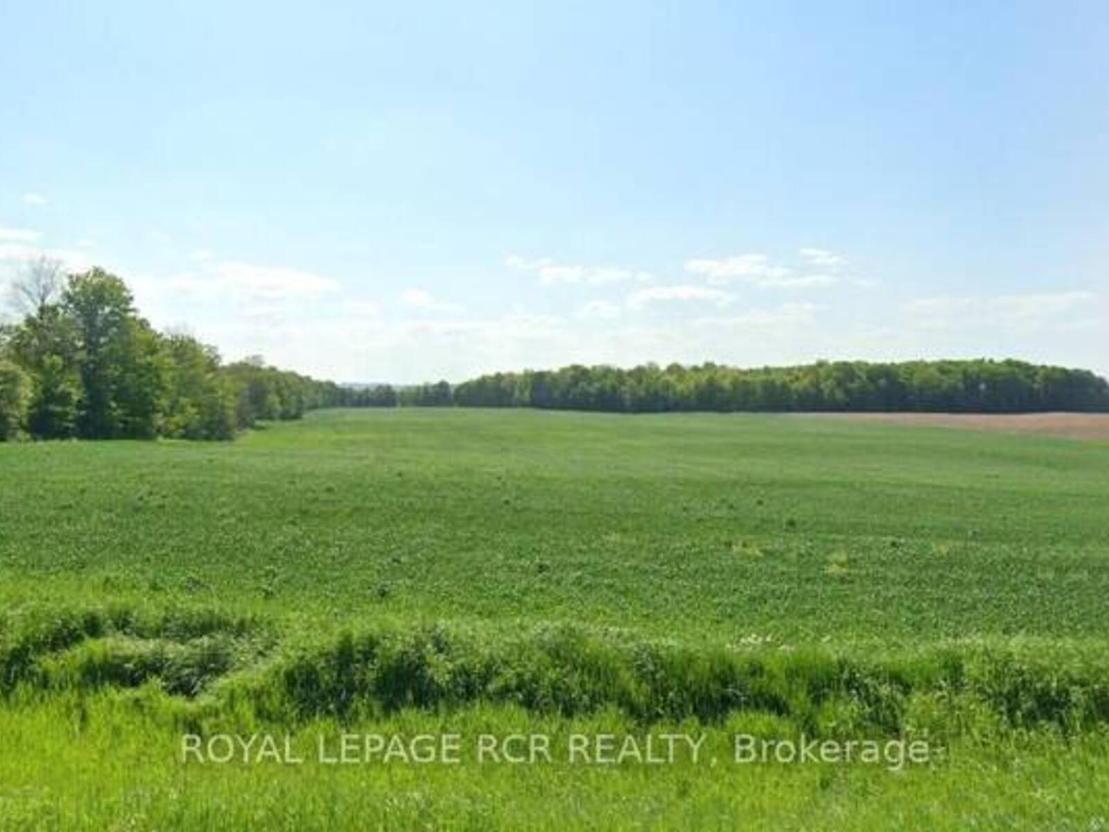 8906 30TH SIDE ROAD, Alliston, Ontario L9R 1V1