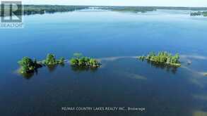 LT 1 ISLAND | Kawartha Lakes Ontario | Slide Image Ten