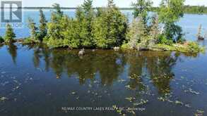 LT 1 ISLAND | Kawartha Lakes Ontario | Slide Image Twelve