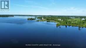 LT 1 ISLAND | Kawartha Lakes Ontario | Slide Image Fourteen