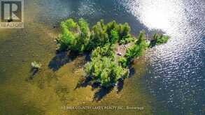 LT 1 ISLAND | Kawartha Lakes Ontario | Slide Image Two