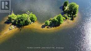 LT 1 ISLAND | Kawartha Lakes Ontario | Slide Image Three