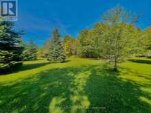 681157 SIDEROAD 260 SIDE ROAD | Melancthon Ontario | Slide Image Forty-six