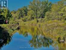 681157 SIDEROAD 260 SIDE ROAD | Melancthon Ontario | Slide Image Fifty