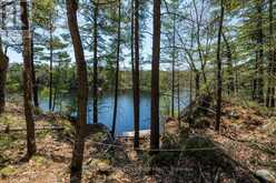 1075 HEINTZMAN GATE | Gravenhurst Ontario | Slide Image Eight