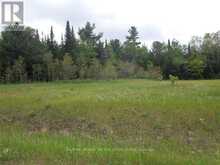 8 TIOGA BOULEVARD | Adjala-Tosorontio Ontario | Slide Image Three