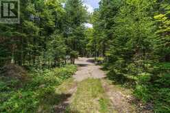 2978 GLAMORGAN ROAD | Haliburton Ontario | Slide Image One