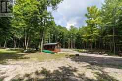 2978 GLAMORGAN ROAD | Haliburton Ontario | Slide Image Four