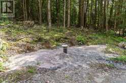 2978 GLAMORGAN ROAD | Haliburton Ontario | Slide Image Eight