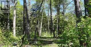 122 NIPPISSING RIDGE ROAD | Tiny Ontario | Slide Image Two