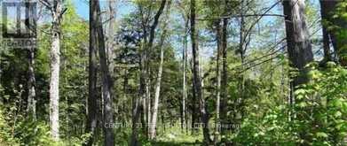 114 NIPPISSING RIDGE ROAD | Tiny Ontario | Slide Image Two