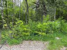104264 GREY ROAD 18 | Meaford Ontario | Slide Image Three