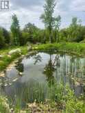 104264 GREY ROAD 18 | Meaford Ontario | Slide Image Sixteen