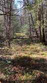 CON 1 LOT 4 | Bancroft Ontario | Slide Image Four