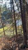 CON 1 LOT 4 | Bancroft Ontario | Slide Image Five