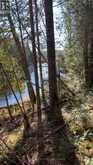 CON 1 LOT 4 | Bancroft Ontario | Slide Image Nine