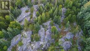 PL 4769 & PL 17474 CON 2 PLAYFAIR | Black River-Matheson Ontario | Slide Image Nine