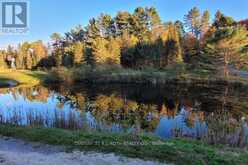 669 RYE ROAD | Parry Sound Ontario | Slide Image Thirty-one