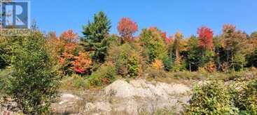 PT LT 147 CON A LOUNT RYE RYE ROAD | Machar Ontario | Slide Image Six