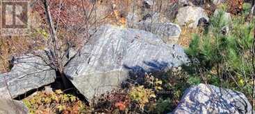 PT LT 147 CON A LOUNT RYE RYE ROAD | Machar Ontario | Slide Image Nine