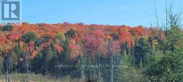 PT LT 147 CON A LOUNT RYE RYE ROAD | Machar Ontario | Slide Image Twenty-two