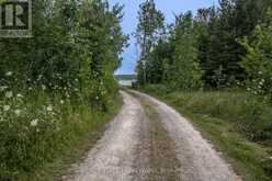 254-256 MCGUIRE BEACH ROAD | Kawartha Lakes Ontario | Slide Image Eight