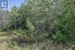 254-256 MCGUIRE BEACH ROAD | Kawartha Lakes Ontario | Slide Image Nine