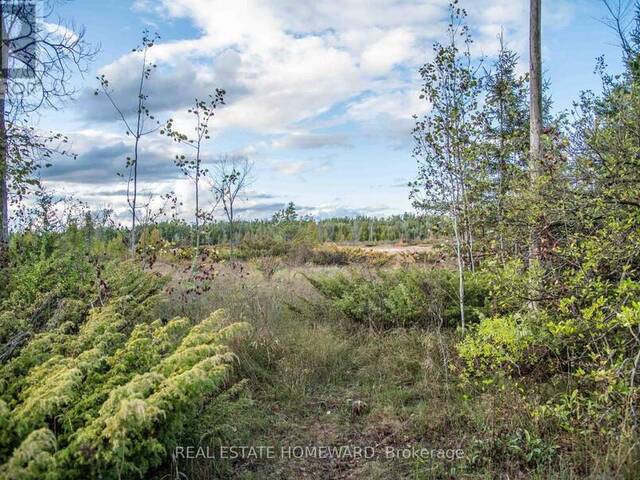 254-256 MCGUIRE BEACH ROAD Kawartha Lakes Ontario, K0M 2B0 - Vacant Land For Sale