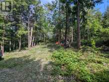 2318 SHERWOOD FOREST LANE | Coldwater Ontario | Slide Image Eight