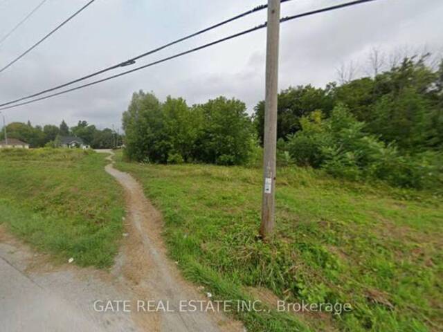 263 THE QUEENSWAY SOUTH S Georgina Ontario, L4P 3C8 - Vacant Land For Sale