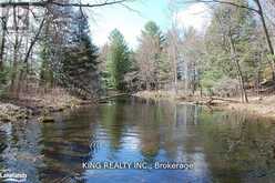 (LOT13) - 12 ZHAAWASHKWAA MIIKAN ROAD | Seguin Ontario | Slide Image Four