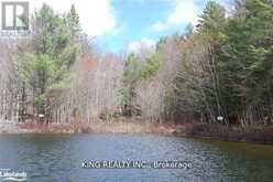 (LOT13) - 12 ZHAAWASHKWAA MIIKAN ROAD | Seguin Ontario | Slide Image Five