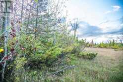 LOT 254 MCGUIRE BEACH ROAD | Kawartha Lakes Ontario | Slide Image Four