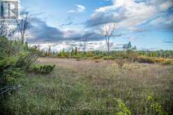 LOT 254 MCGUIRE BEACH ROAD | Kawartha Lakes Ontario | Slide Image Five