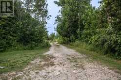 LOT 256 MCGUIRE BEACH ROAD | Kawartha Lakes Ontario | Slide Image Twelve