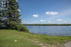 LOT 256 MCGUIRE BEACH ROAD | Kawartha Lakes Ontario | Slide Image Fifteen