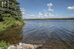 LOT 256 MCGUIRE BEACH ROAD | Kawartha Lakes Ontario | Slide Image Seventeen