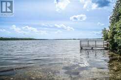 LOT 256 MCGUIRE BEACH ROAD | Kawartha Lakes Ontario | Slide Image Twenty-one