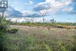 LOT 256 MCGUIRE BEACH ROAD | Kawartha Lakes Ontario | Slide Image Four