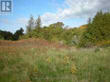 LT 27 PTS 2&3 COUNTY ROAD 10 | Prince Edward Ontario | Slide Image Eleven