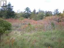 LT 27 PTS 2&3 COUNTY ROAD 10 | Prince Edward Ontario | Slide Image Thirteen