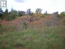 LT 27 PT 2 COUNTY RD 10 | Prince Edward Ontario | Slide Image Eleven