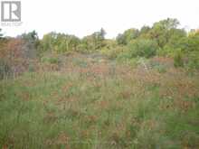 LT 27 PT 3 COUNTY RD 10 | Prince Edward Ontario | Slide Image Sixteen