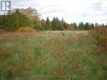 LT 27 PT 3 COUNTY RD 10 | Prince Edward Ontario | Slide Image Seven