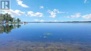 208 LAKESHORE DRIVE | Bobcaygeon Ontario | Slide Image Two